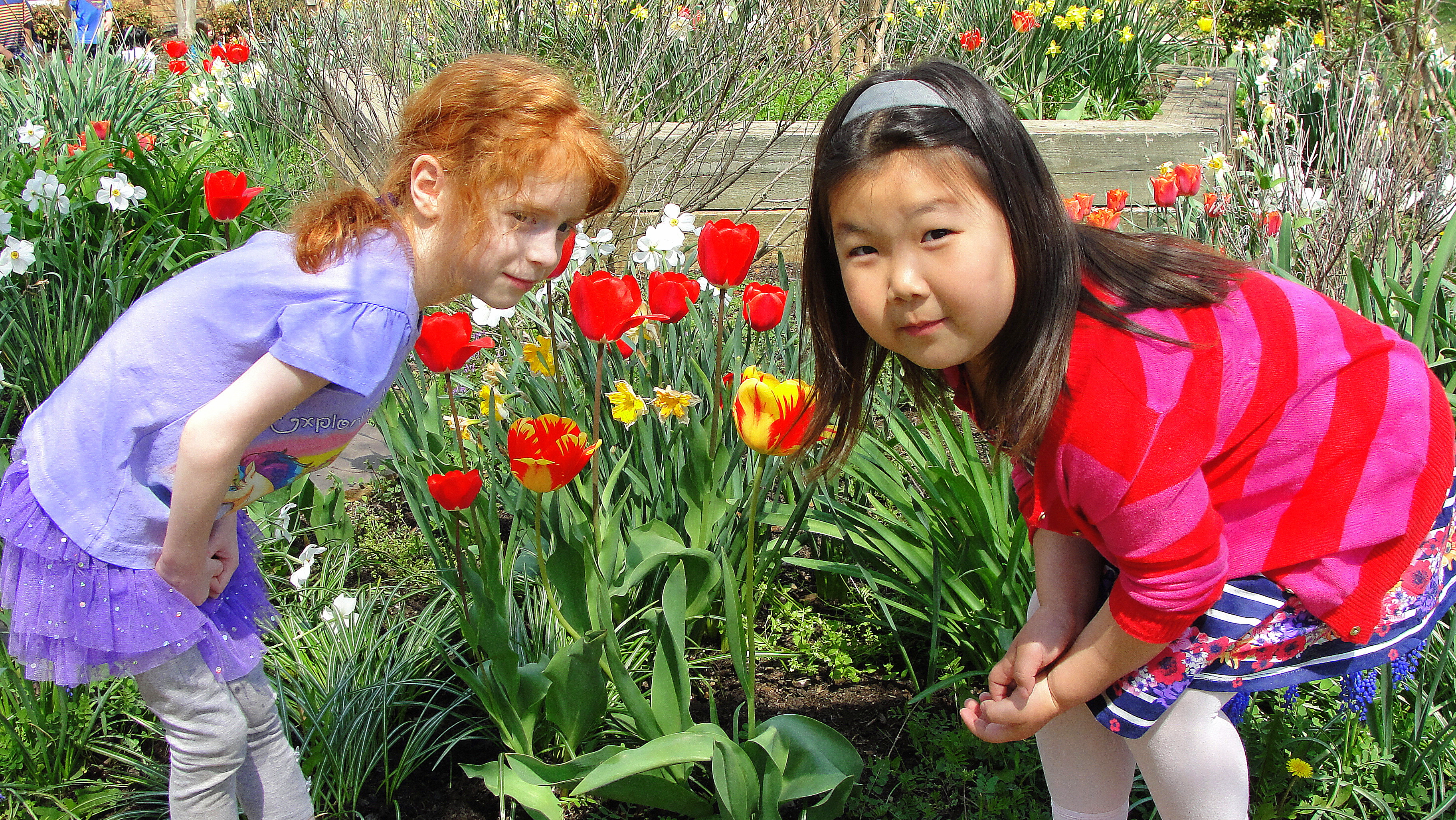 Earth day students with tulips