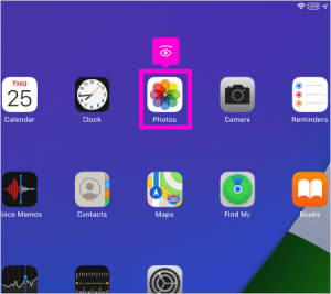 iPad screenshot Photo Gallery